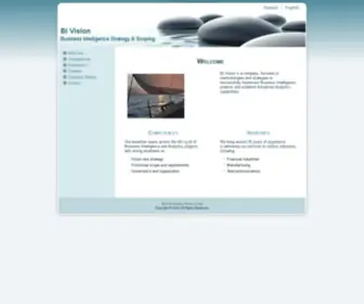 BI-Vision.com(BI Vision) Screenshot