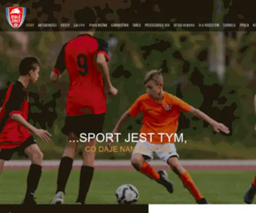 Bialeorly.com.pl(Białe orły) Screenshot
