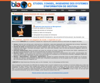 Biaoo.net(Etudes, Conseil, Ingénierie des Systèmes d'Information de Gestion) Screenshot