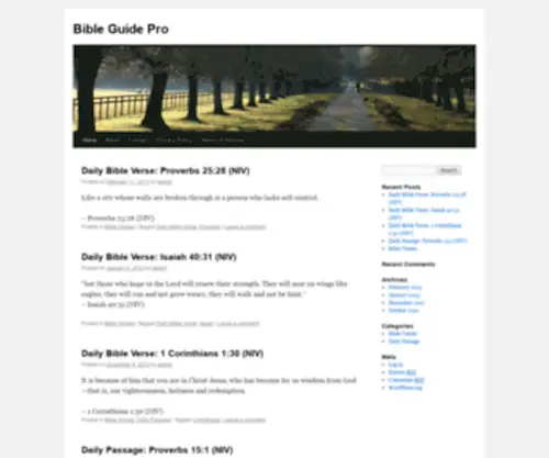 Bibleguidepro.com(Your Source for Bible resources) Screenshot