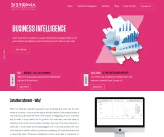 Bibrainia.com(Big Data Solutions) Screenshot