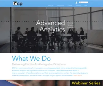 Bicp.com(Your Data Experts) Screenshot