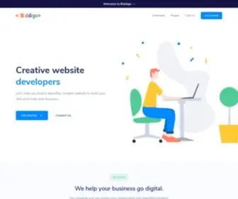 Biddigo.com(Everything you need to take your business online) Screenshot