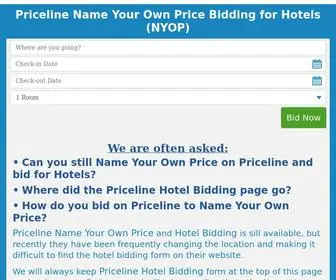 Biddingforhotelrooms.com(Priceline Name Your Own Price Hotel Bidding (NYOP)) Screenshot