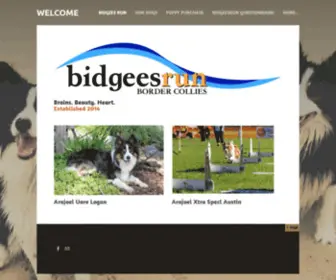 Bidgeesrun.com(Bidgees Run) Screenshot