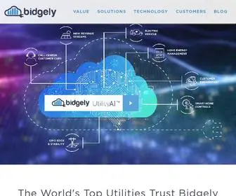 Bidgely.com(Energy Analytics) Screenshot