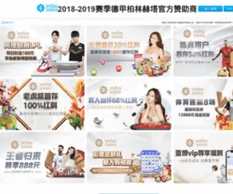 Bidrill.com(亚搏平台) Screenshot