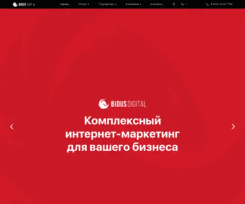 Bidusdigital.ru(Комплексный интернет) Screenshot