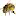 Bienen-Roth.ch Favicon