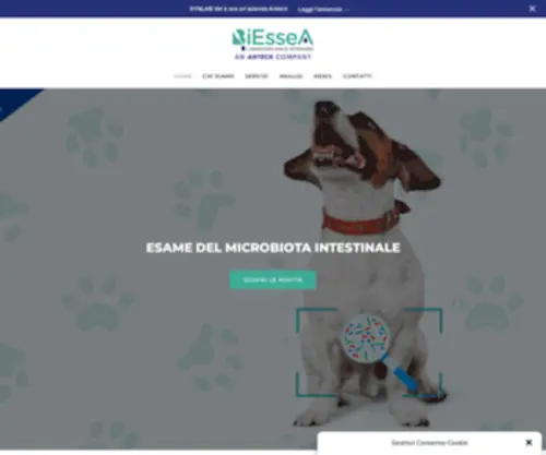 Biessea.com(BiEsseA Laboratorio di Analisi Veterinarie) Screenshot