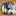 Biewer-Yorkshire-Terrier.eu Favicon
