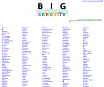 Big-Annuaire.com(Big Annuaire) Screenshot