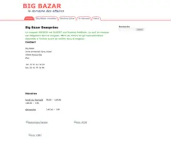 Big-Bazar.fr(Big Bazar à Beaupréau) Screenshot