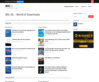 Big-DL.com(IIS Windows Server) Screenshot
