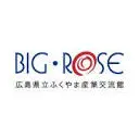 Big-Rose.net Favicon