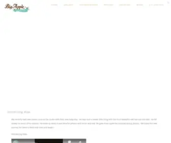 Bigapplenewborn.com(New York City Newborn Photographer) Screenshot