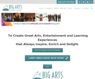 Bigarts.org(BIG ARTS) Screenshot
