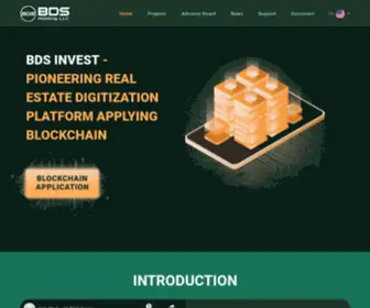 Bigbds.io(BDS HOLDING LLC) Screenshot