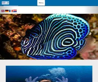 Bigbluedivers.net(Big Blue Divers) Screenshot