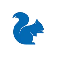 Bigbluesquirrel.co.uk Favicon