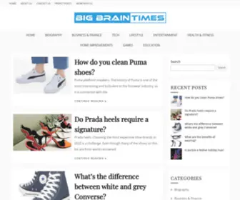 Bigbraintimes.com(My WordPress Blog) Screenshot