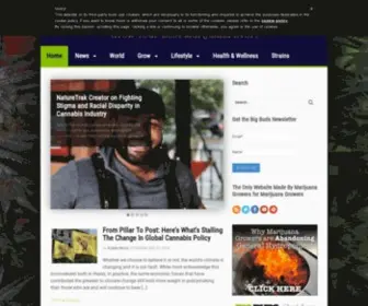 Bigbudsmag.com(Big Buds Magazine) Screenshot