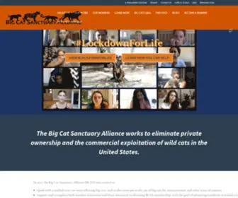 Bigcatalliance.org(Big Cat Sanctuary Alliance) Screenshot