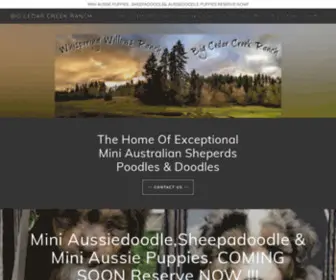 Bigcedarcreekranchminiaussies.com(Big Cedar Creek Ranch) Screenshot