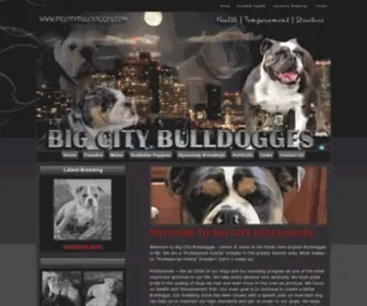 Bigcitybulldogges.com(Bulldog Breeder Massachusetts) Screenshot