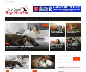 Bigdogsbighearts.com(Pet Blog) Screenshot