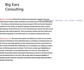 Bigearsconsulting.com(Connecting You With Your Ideal Clients) Screenshot