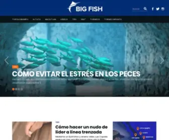 Bigfish.mx(Uno de los peces gallo (Roosterfish)) Screenshot