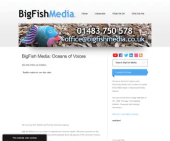 Bigfishmedia.co.uk(BigFishMedia) Screenshot