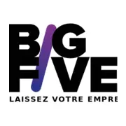 Bigfivesolutions.com Logo