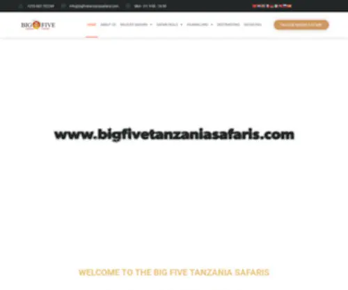 Bigfivetanzaniasafaris.com(The Big Five Tanzania Safaris) Screenshot