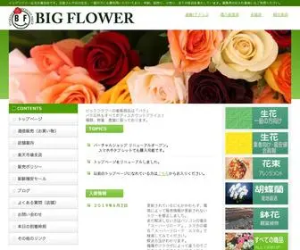 Bigflower.co.jp(Bigflower) Screenshot