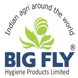 Bigflyhygiene.com Favicon