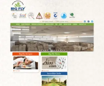 Bigflyhygiene.com(Big fly hygiene products ltd) Screenshot