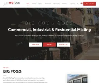 Bigfogg.com(Big Fogg) Screenshot