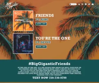 Biggigantic.net(HOMEPAGE) Screenshot