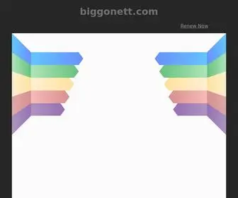 Biggonett.com(biggonett) Screenshot