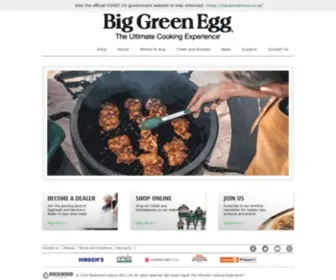 Biggreenegg.co.za(All in one braai) Screenshot