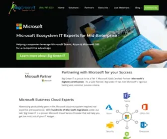 Biggreenit.com(Microsoft Cloud Consulting Services) Screenshot