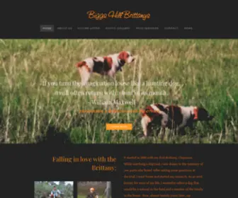 Biggshillbrittanys.com(Biggs Hill Brittanys) Screenshot