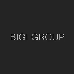 Bigi-Group.com Favicon