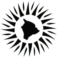 Bigislandbrewhaus.com Favicon