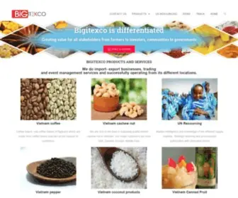 Bigitexco.com(IMPORT EXPORT COMPANY) Screenshot