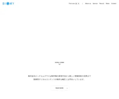 Bigm2Y.com(株式会社ビッグエムズワイ) Screenshot
