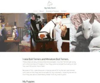 Bigoaksbullterriers.com(Big Oaks Bull Terriers) Screenshot