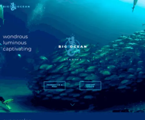 Bigocean.com(Big Ocean) Screenshot